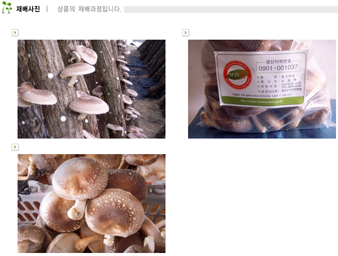 표고버섯 상세페이지(재배사진)