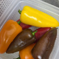 미니파프리카(가정용) 1.2kg