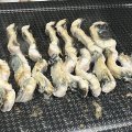 [행사특가]화순 자포니카 민물장어 600g
