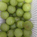 특품 샤인머스켓 2kg/4kg