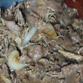 불고기 500g 화순적벽한우 1등급