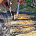 심명진 민물장어 초벌장어 1kg(초벌후 550g)