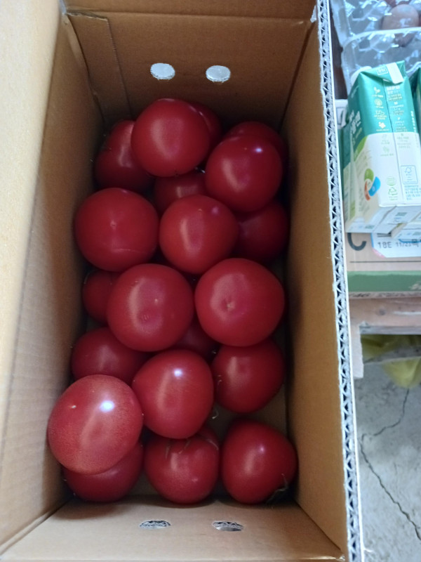 완숙대박토마토 3kg / 5kg