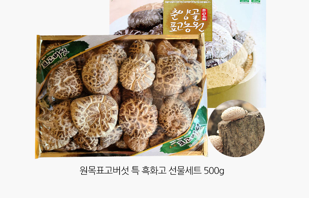 원목표고버섯 특 흑화고 선물세트 500g