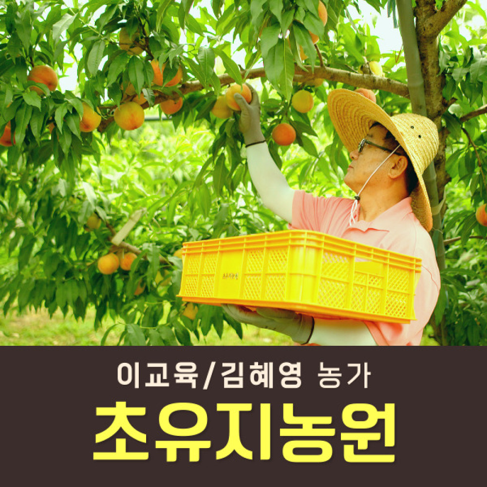 복숭아(딱복/물복) 2kg/4kg
