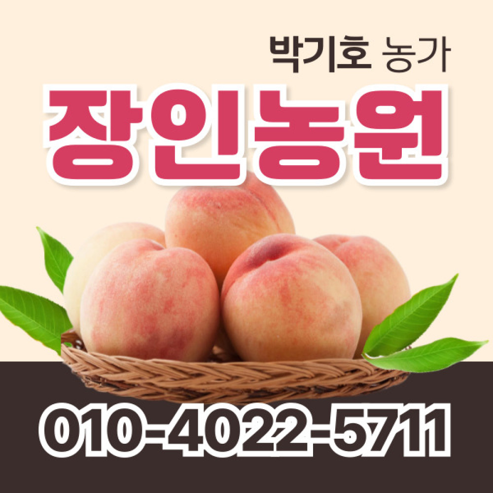 [사전예약특가] 복숭아(물복) 2kg/4kg