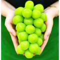 특품 샤인머스켓 2kg/4kg