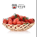 (24년 5월이벤트)GAP인증 대추방울토마토(당일수확)