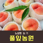 [사전예약특가]유기농 복숭아 1.8kg/3kg/3.6kg