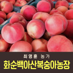 [사전예약특가] 복숭아(딱복) 4kg