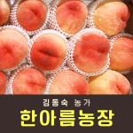 복숭아(딱복) 2kg/4kg