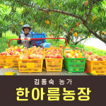 [사전예약특가] 복숭아(딱복) 2kg/4kg