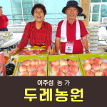 [사전예약특가] 복숭아(딱복) 4kg