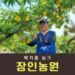 [사전예약특가] 복숭아(물복) 2kg/4kg