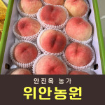 [사전예약특가] 복숭아(딱복) 2kg/4kg