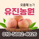 [사전예약특가] 복숭아(물복) 2kg/4kg