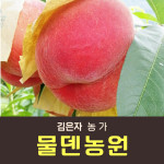 [사전예약특가] 복숭아(물복/딱복) 2kg/3kg/4kg