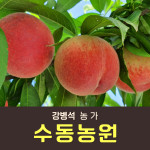 [사전예약특가] 복숭아(딱복) 4kg/8kg