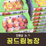 [사전예약특가] 복숭아(딱복) 4kg