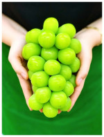 특품 샤인머스켓 2kg/4kg