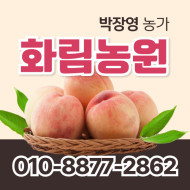 [사전예약특가] 복숭아(물복) 2kg/4kg