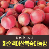[사전예약특가] 복숭아(딱복) 4kg