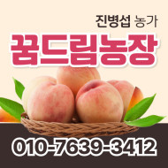 [사전예약특가] 복숭아(딱복) 4kg