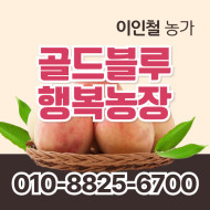 [사전예약특가] 복숭아(딱복/물복) 2kg/4kg