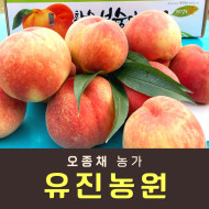 [사전예약특가] 복숭아(물복) 2kg/4kg