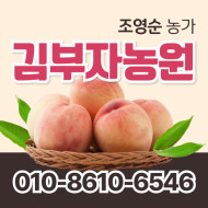 [사전예약특가] 복숭아(딱복) 2kg/4kg