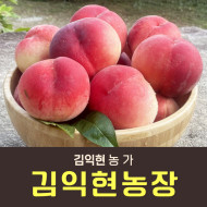 [사전예약특가] 복숭아(딱복) 4kg