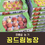 [사전예약특가] 복숭아(딱복) 4kg