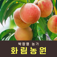 [사전예약특가] 복숭아(물복) 2kg/4kg