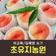 [사전예약특가] 복숭아(딱복/물복) 2kg/4kg