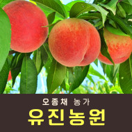 [사전예약특가] 복숭아(물복) 2kg/4kg
