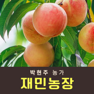 [사전예약특가] 복숭아(딱복/물복) 2kg/4kg