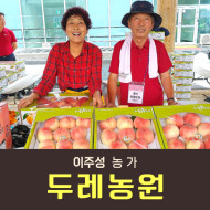 [사전예약특가] 복숭아(딱복) 4kg