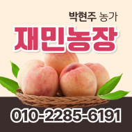 [사전예약특가] 복숭아(딱복/물복) 2kg/4kg