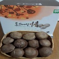 생표고버섯(참나무톱밥) 특품(2kg)