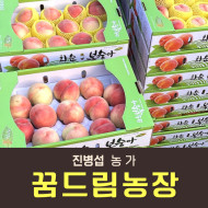 [사전예약특가] 복숭아(딱복) 4kg
