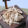 국산 한약재 도라지 300g/600g