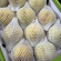부드러운 황도 복숭아 2kg/3kg/4kg