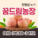 [사전예약특가] 복숭아(딱복) 4kg