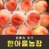 [사전예약특가] 복숭아(딱복) 2kg/4kg