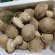 명품버섯(송화고)1kg 풍차농원