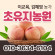 [사전예약특가] 복숭아(딱복/물복) 2kg/4kg