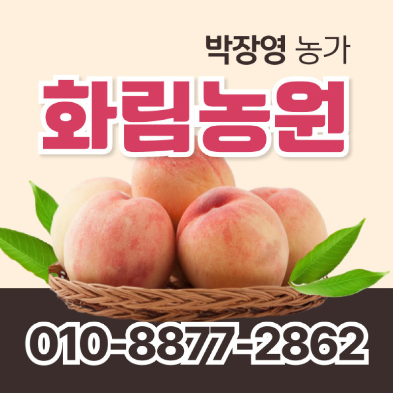 [사전예약특가] 복숭아(물복) 2kg/4kg