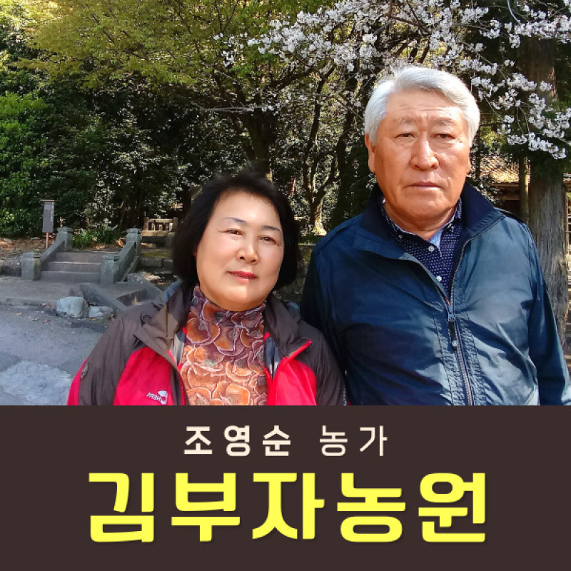 [사전예약특가] 복숭아(딱복) 2kg/4kg