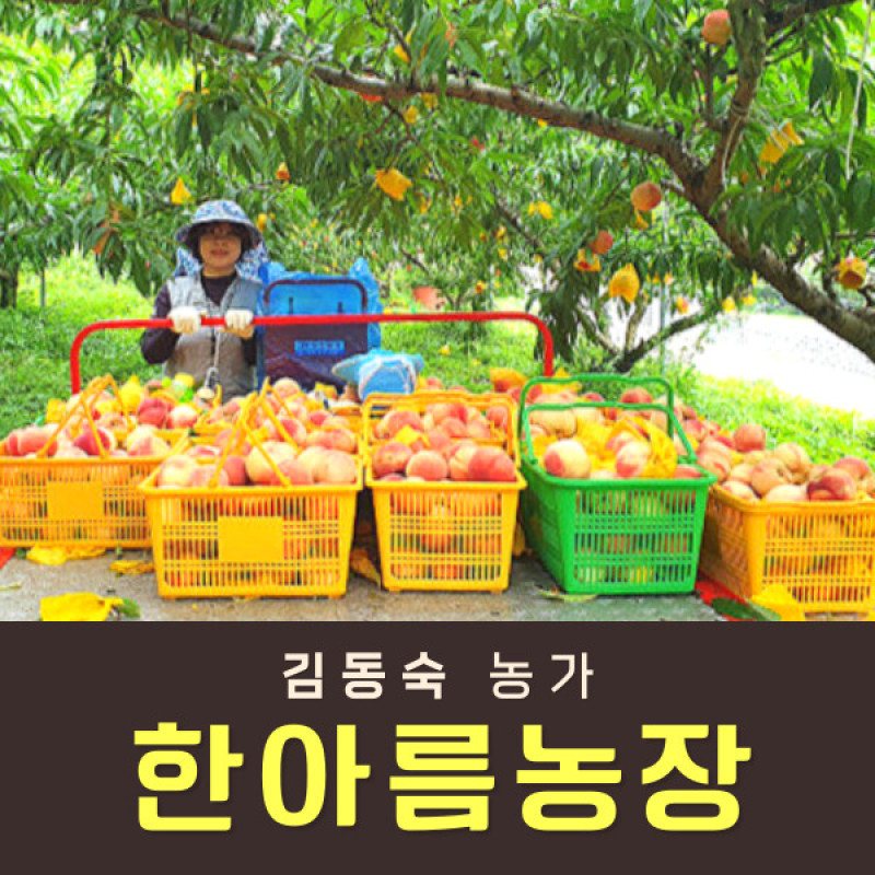 [사전예약특가] 복숭아(딱복) 2kg/4kg
