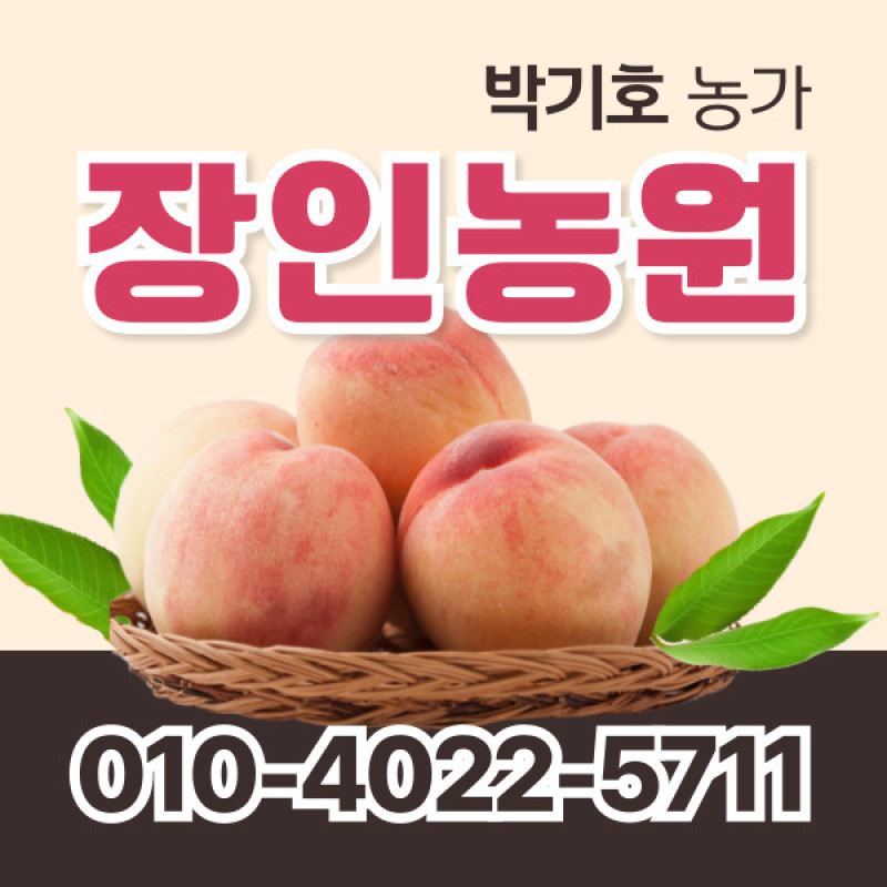 [사전예약특가] 복숭아(딱복/물복) 2kg/4kg